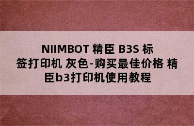 NIIMBOT 精臣 B3S 标签打印机 灰色-购买最佳价格 精臣b3打印机使用教程